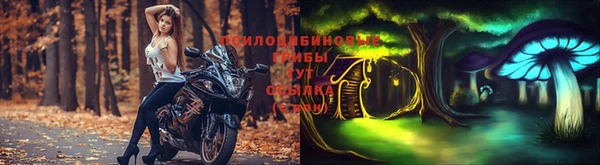 прущая мука Козловка