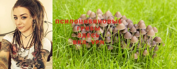 стаф Киренск