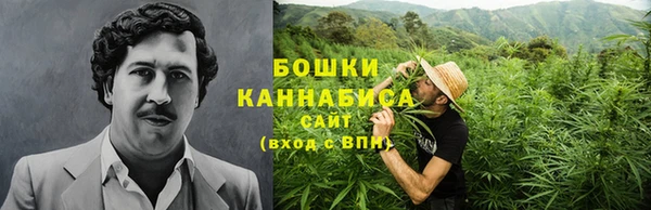дживик Козельск