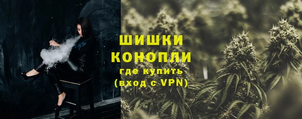 дживик Козельск