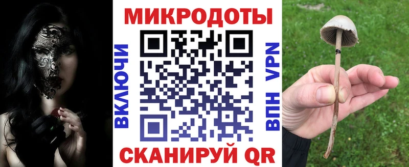 Псилоцибиновые грибы мицелий  купить  цена  Свободный 