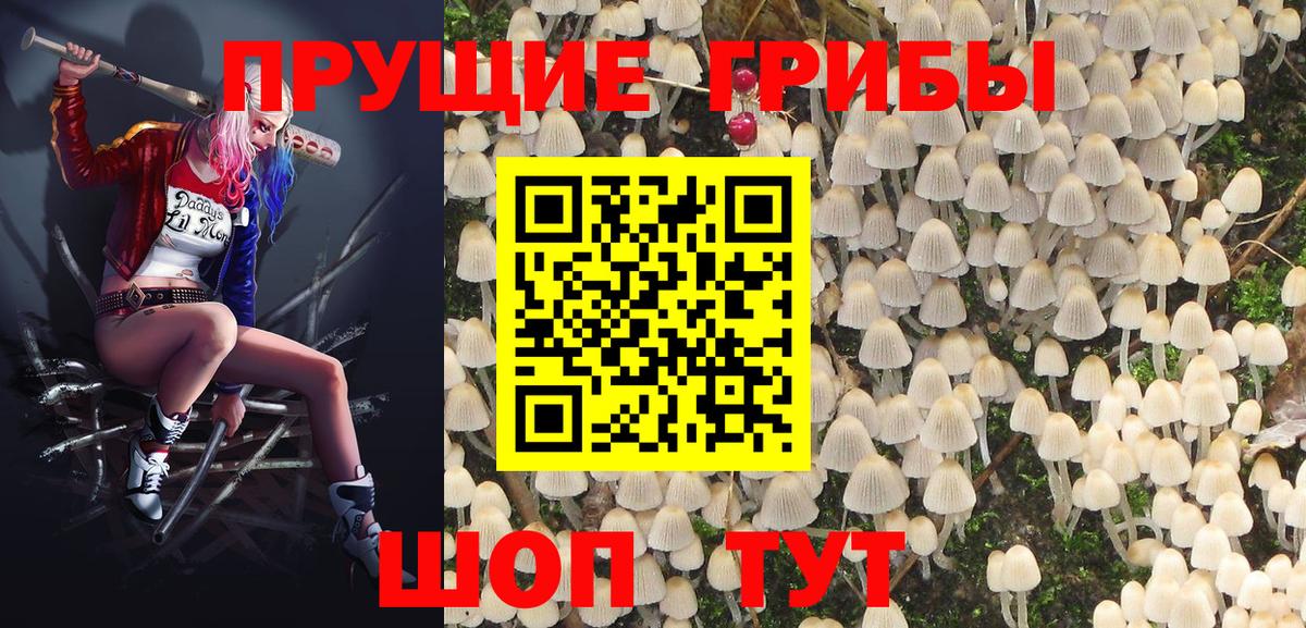 Псилоцибиновые грибы Psilocybe  Вход с VPN  Галлюциногенные грибы мухоморы  Свободный 